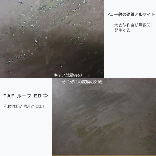 TAFルーブ・イメージ